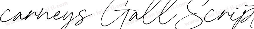 carneys Gall而已Script字体转换